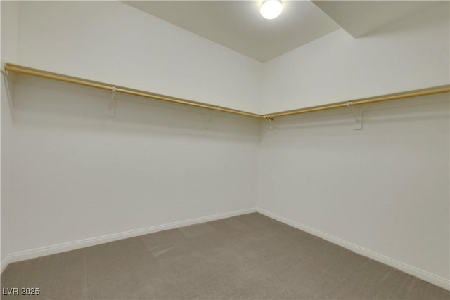 spacious closet with carpet floors