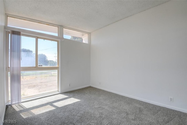 carpeted empty room featuring a textured ceiling and baseboards