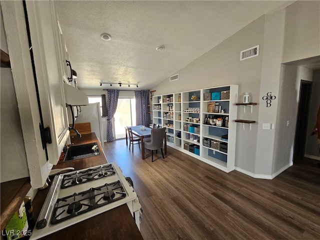 living area with dark wood-type flooring, lofted ceiling, a textured ceiling, and baseboards