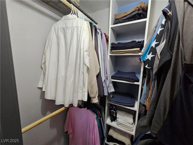 view of walk in closet
