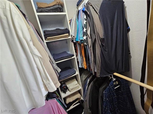 view of walk in closet
