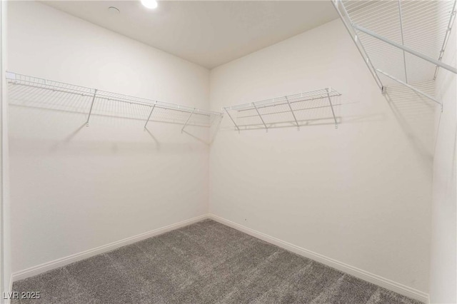 2824 Mozia Ct, Henderson, NV 89044 - walk in closet featuring carpet floors