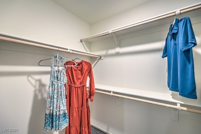 view of walk in closet