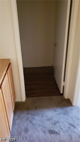 hallway featuring carpet floors