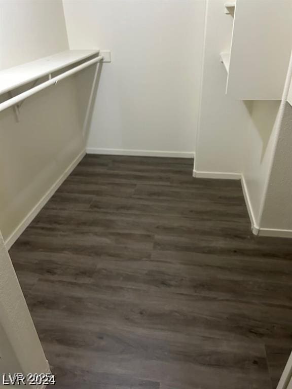 spacious closet with dark wood-type flooring