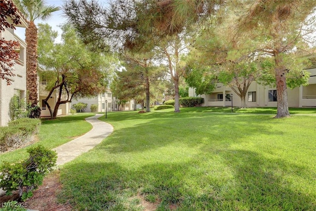 2633 S Durango Dr Unit 201, Las Vegas, NV 89117 - view of green lawn