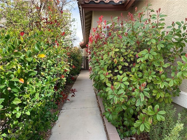 9236 Canalino Dr, Las Vegas, NV 89134 - view of side of home featuring stucco siding