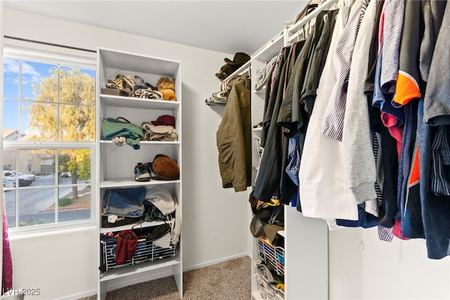 4533 Lime Straight Dr, Las Vegas, NV 89115 - spacious closet with carpet floors
