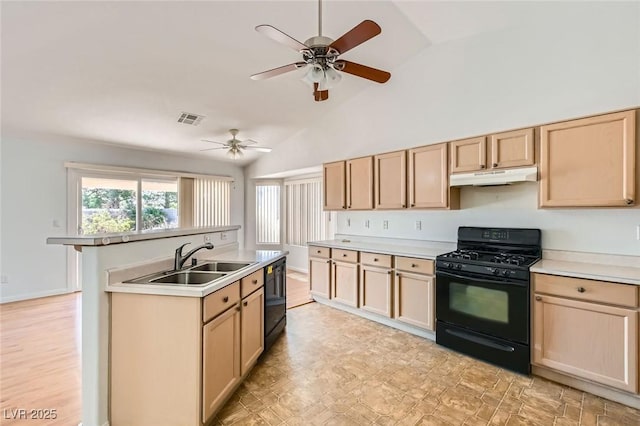 3912 Branchwood Dr, North Las Vegas, NV 89032 - kitchen with black appliances, under cabinet range hood, a sink, light brown cabinets, and high vaulted ceiling