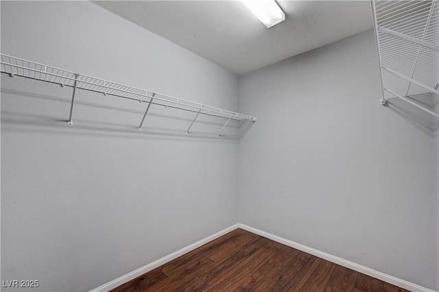 spacious closet with dark wood-type flooring