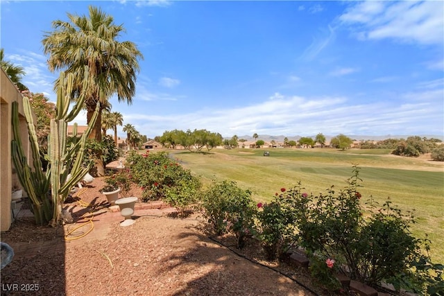 1223 Golf Club Dr, Laughlin, NV 89029 - view of green lawn featuring view of golf course
