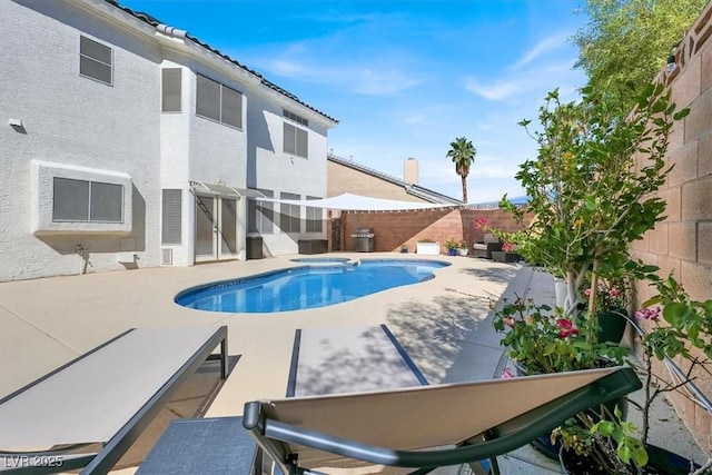 view of swimming pool featuring a fenced backyard, a patio area, and a pool with connected hot tub