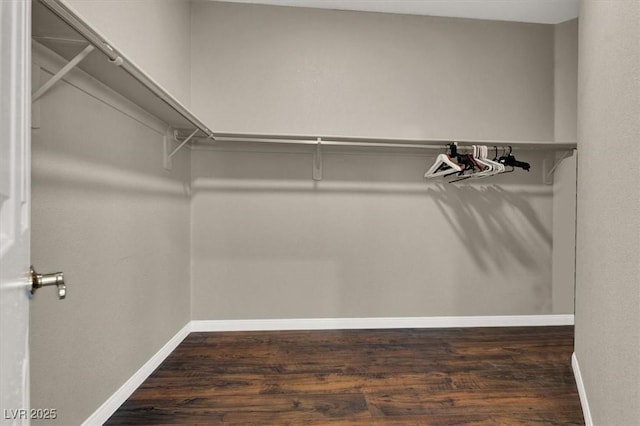 spacious closet with wood finished floors