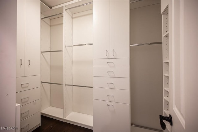 walk in closet featuring dark wood-type flooring