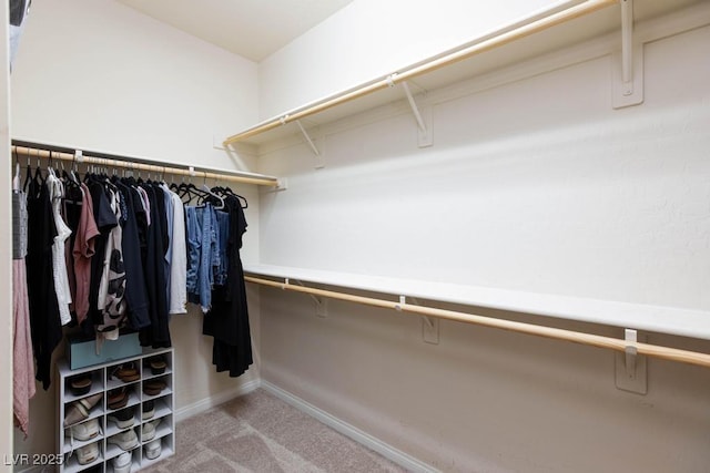 spacious closet featuring light carpet