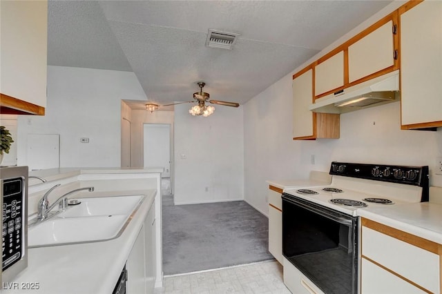 kitchen with electric range, under cabinet range hood, a sink, light countertops, and light colored carpet