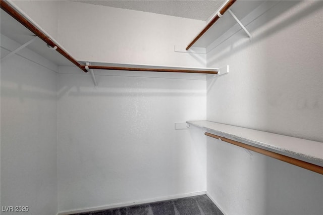 walk in closet with dark colored carpet