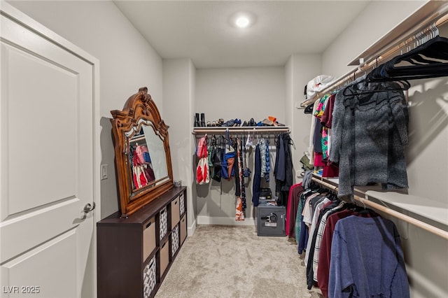 5449 Hickory Tree St, Las Vegas, NV 89149 - walk in closet with carpet floors