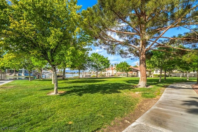 view of property's community with a yard