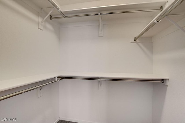 view of walk in closet