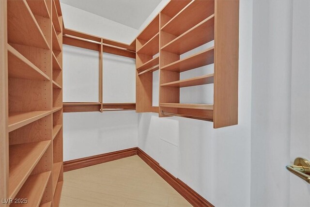 view of walk in closet