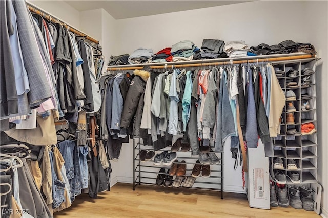spacious closet with wood finished floors