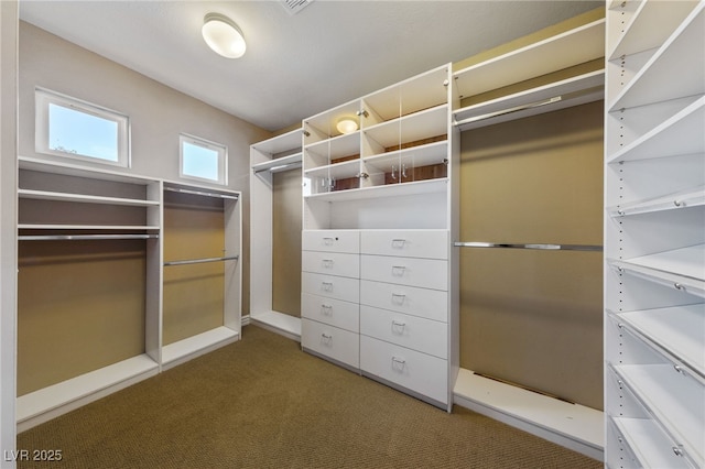 7438 Desertscape Ave, Las Vegas, NV 89178 - walk in closet featuring carpet