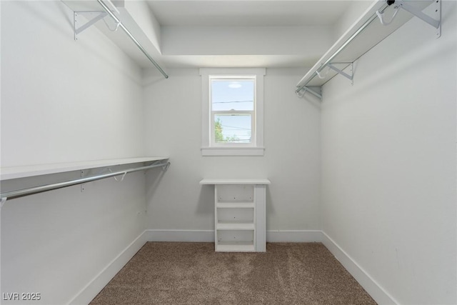 663 D Ave, Boulder City, NV 89005 - walk in closet featuring carpet floors