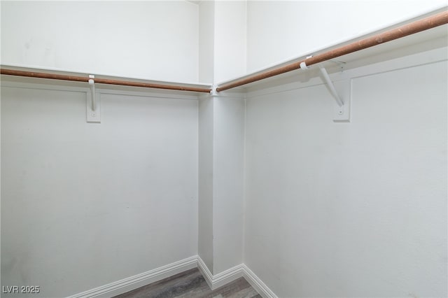 walk in closet with wood finished floors