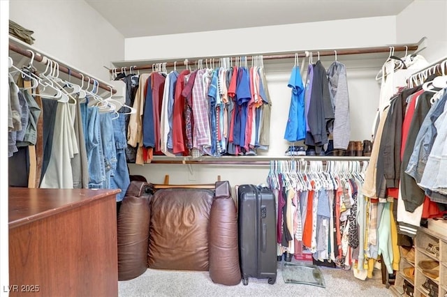 10230 Danskin Dr, Las Vegas, NV 89166 - spacious closet featuring carpet flooring