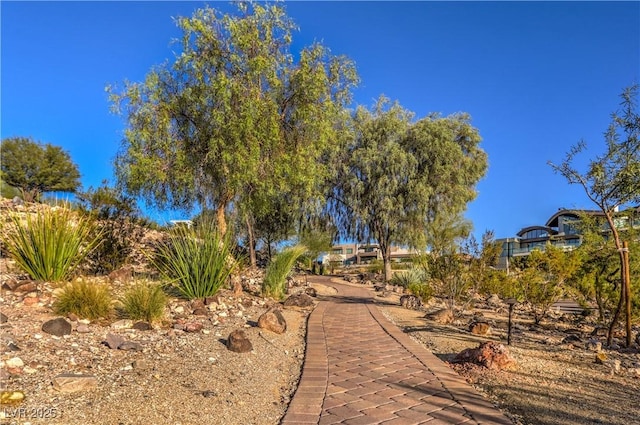 1532 Via Cassia, Henderson, NV 89052 - view of yard