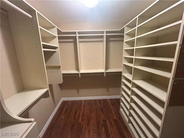 1532 Via Cassia, Henderson, NV 89052 - walk in closet with dark wood finished floors
