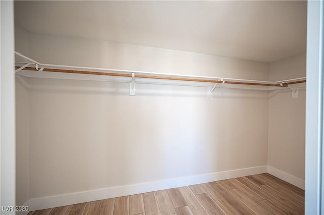 1620 Western Lily St, Las Vegas, NV 89128 - walk in closet with wood finished floors