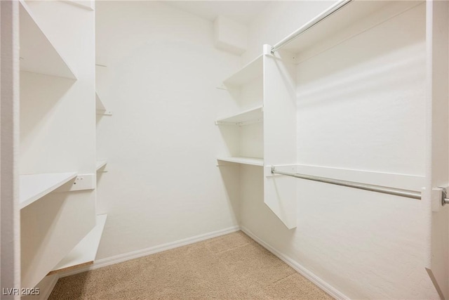 spacious closet featuring carpet