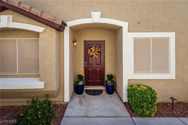 10336 Birch Bluff Ln, Las Vegas, NV 89145 - entrance to property featuring stucco siding