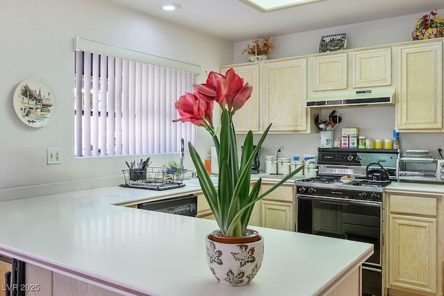 8929 Marble Dr, Las Vegas, NV 89134 - photo 13