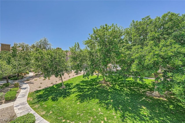 view of property's community featuring a yard