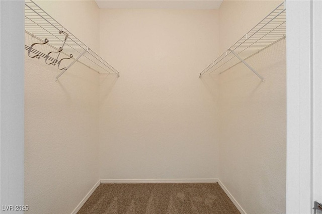 walk in closet featuring carpet