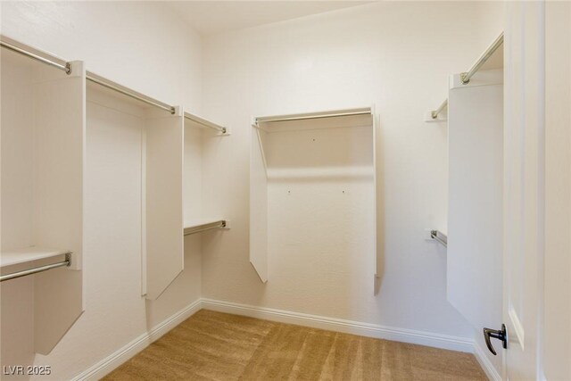 7434 Eggshell Dr, North Las Vegas, NV 89084 - spacious closet with carpet