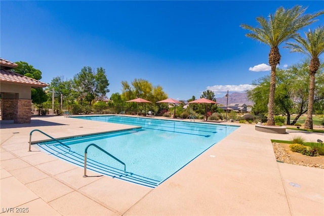 7434 Eggshell Dr, North Las Vegas, NV 89084 - community pool featuring a patio and fence