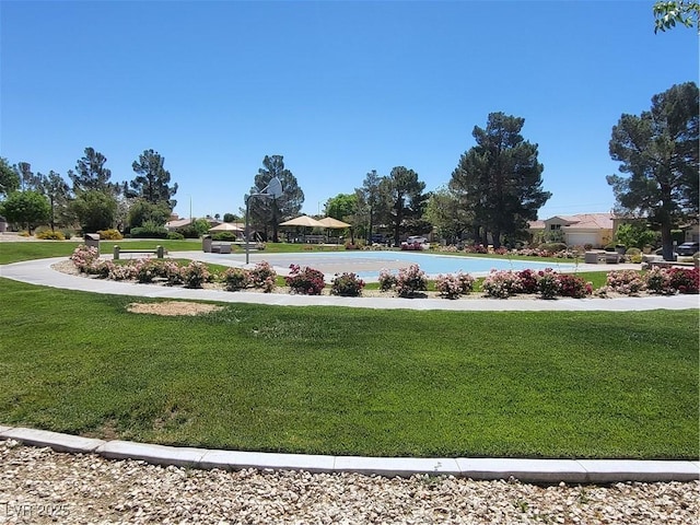 view of community featuring a yard