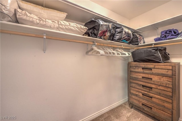 spacious closet with carpet