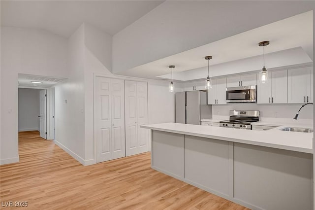 8412 Mulcahy Ave, Las Vegas, NV 89145 - kitchen with appliances with stainless steel finishes, a sink, a peninsula, light wood finished floors, and light countertops