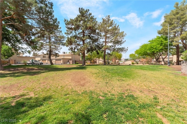 2261 Tall Pine Dr, Las Vegas, NV 89108 - view of green lawn