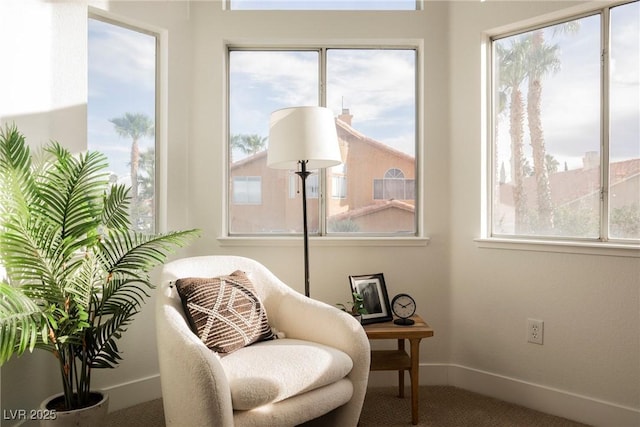 sitting room with baseboards and carpet