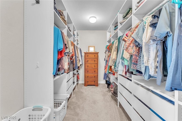 10353 Settlers Run Ave, Las Vegas, NV 89166 - spacious closet with light carpet