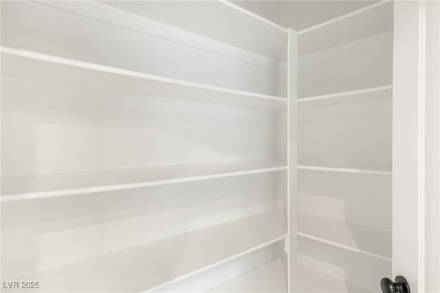8100 Lake Hills Dr, Las Vegas, NV 89128 - view of pantry