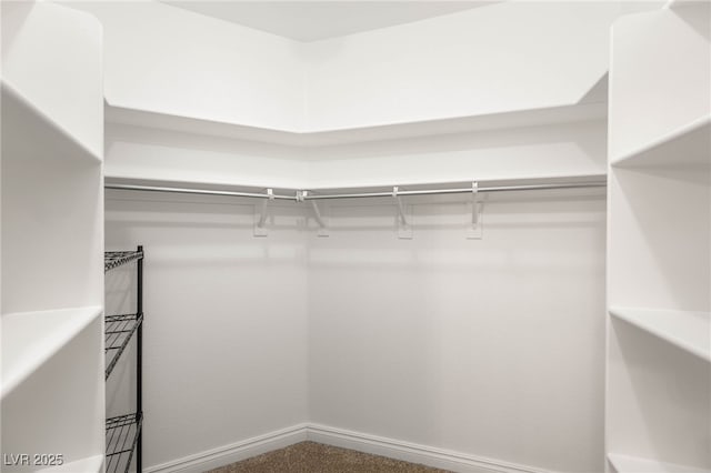 8100 Lake Hills Dr, Las Vegas, NV 89128 - view of spacious closet