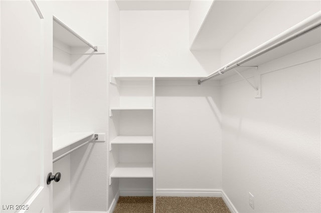 8100 Lake Hills Dr, Las Vegas, NV 89128 - walk in closet with carpet