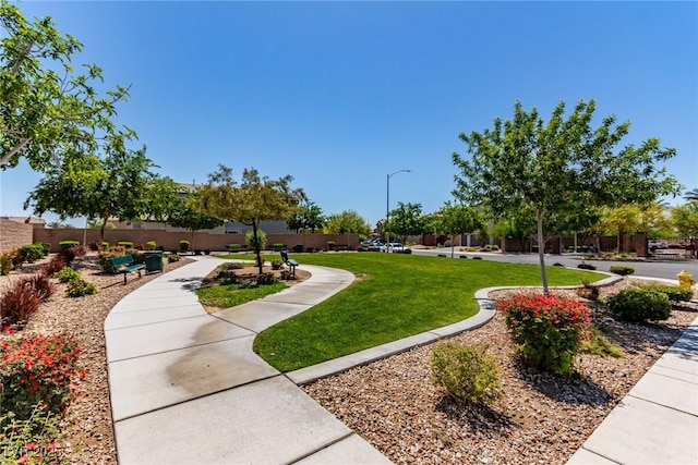surrounding community with a lawn